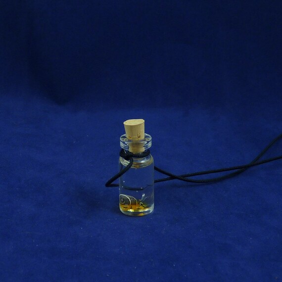 Hermit Crab Specimen Jar Necklace  - Handmade Science Inspired Jewelry