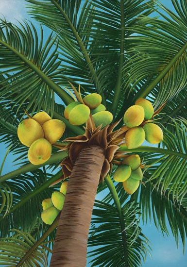 Palmera Del Coco 8x10 Print