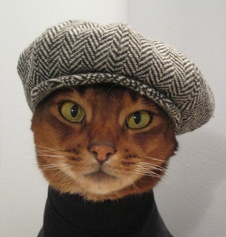 Newsboy Cap for CAT in black/grey herringbone