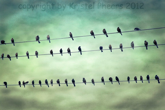 Birds on a Wire 8x10 Signed Fine Art Photograph - photo Moody surreal clouds greens aquas sepia clouds