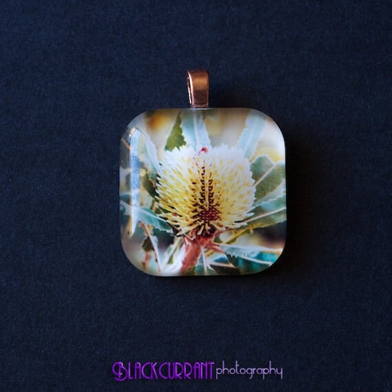 Banksia pendant