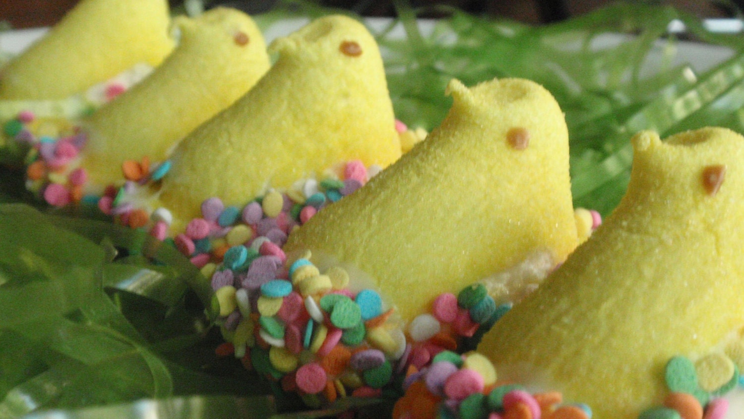Easter Candy: Chocolate Covered Marshmallow Peeps