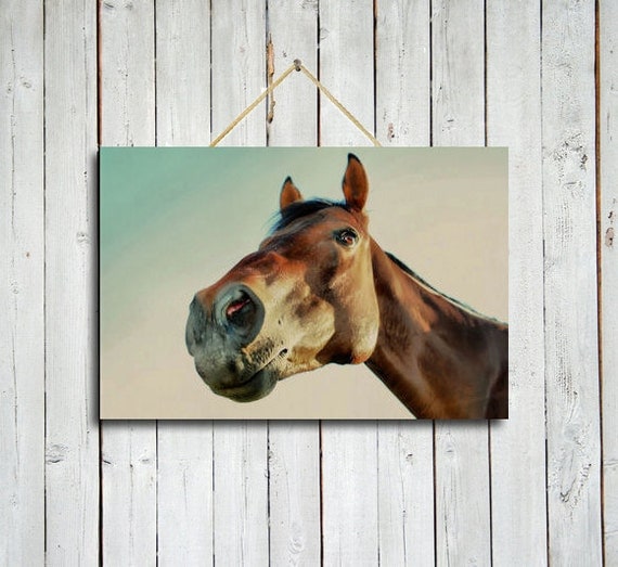 Horse stare down -10x15 Print - Brown wall decor - Western wall decor - Horse wall decor - Brown horse.