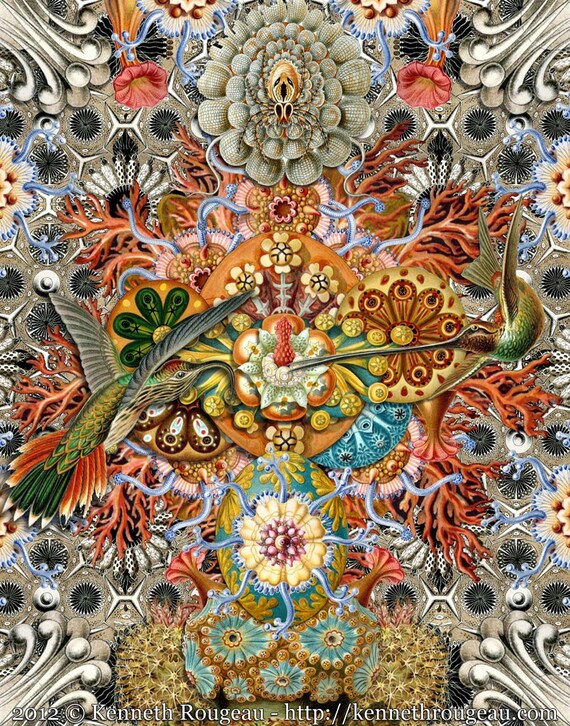 Forms of Nature #1 Forms of Nature #1