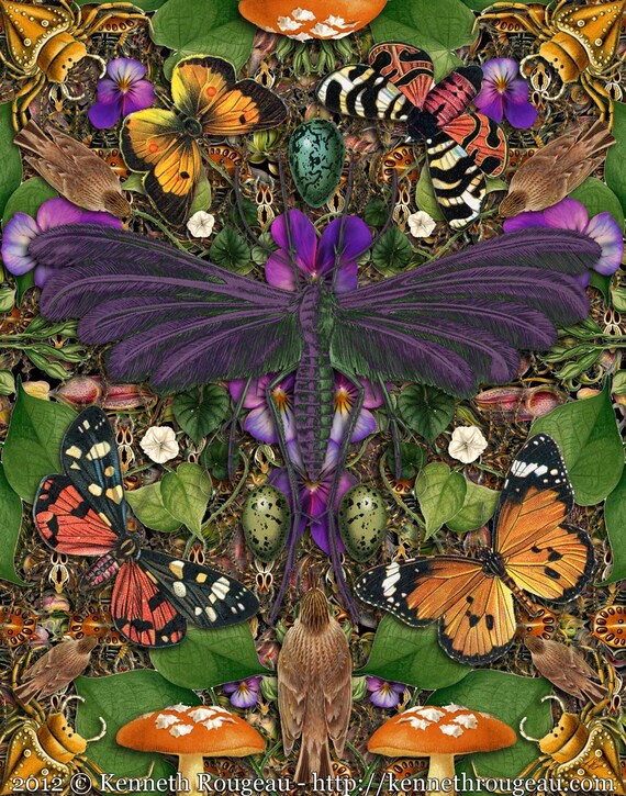 Forms of Nature #3 Forms of Nature #3