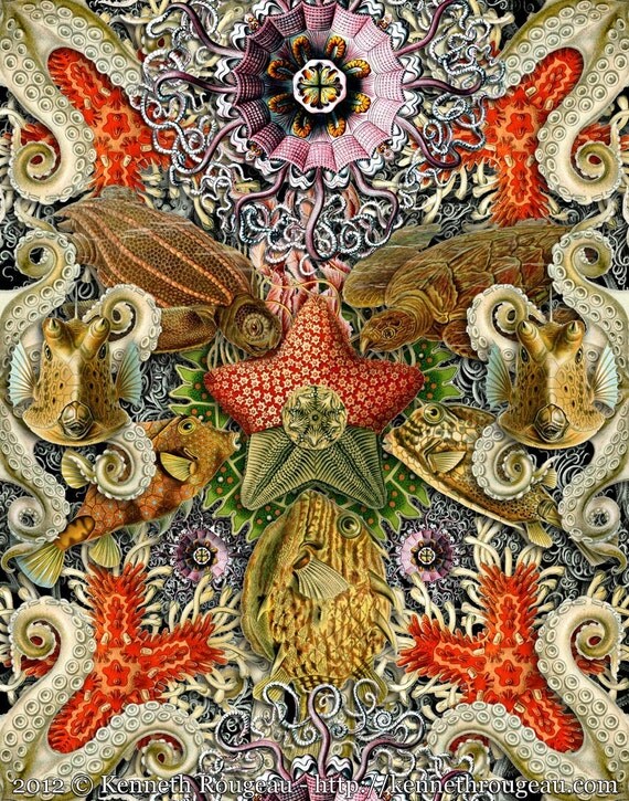 Forms of Nature #2 Forms of Nature #2