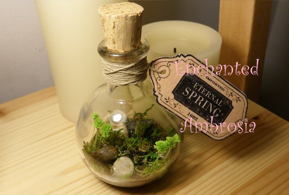 Personalized Potion Bottles w Corks Wedding Party Favors Placecards 