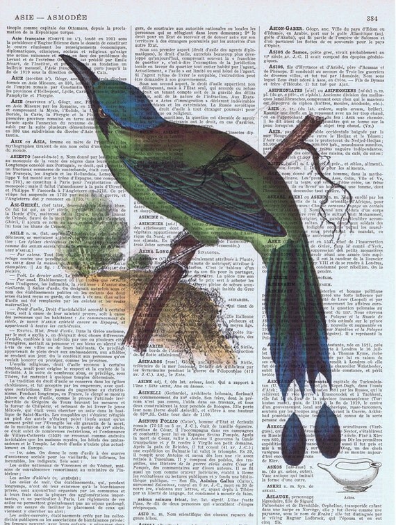 Gift / Vintage Book Page  Prints  / Vintage Exotic Blue Bird Illustration / home decor, Mothers Day, spring, handmade, freebie