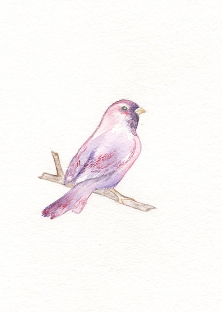 Sparrow/purple, pink and red/5x7 Watercolor Print