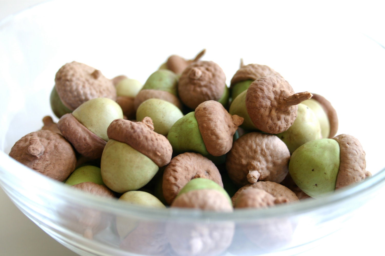 Edible Chocolate Cocoa Bean Candy Acorns 25 - Cake Decoration / Gift - Featured in the Huffington Post-
