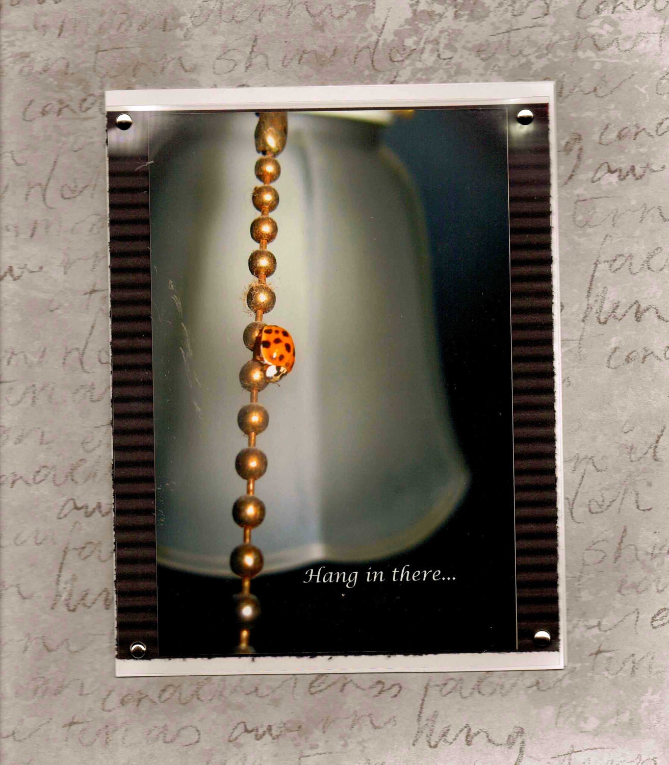 Hang in There Handmade Greeting Card with Ladybug Image-Encouragement