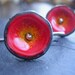 Bright red-orange poppies hook earrings