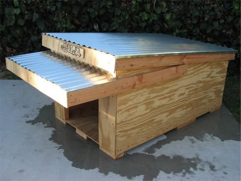 Large Modern Design Dog House Plans