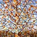 Abstract Fine Art Print - November Sun