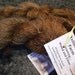 Chestnut, Blended Mohair yarn