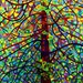 Abstract Fine Art Print - Kaleidoscope 13x19