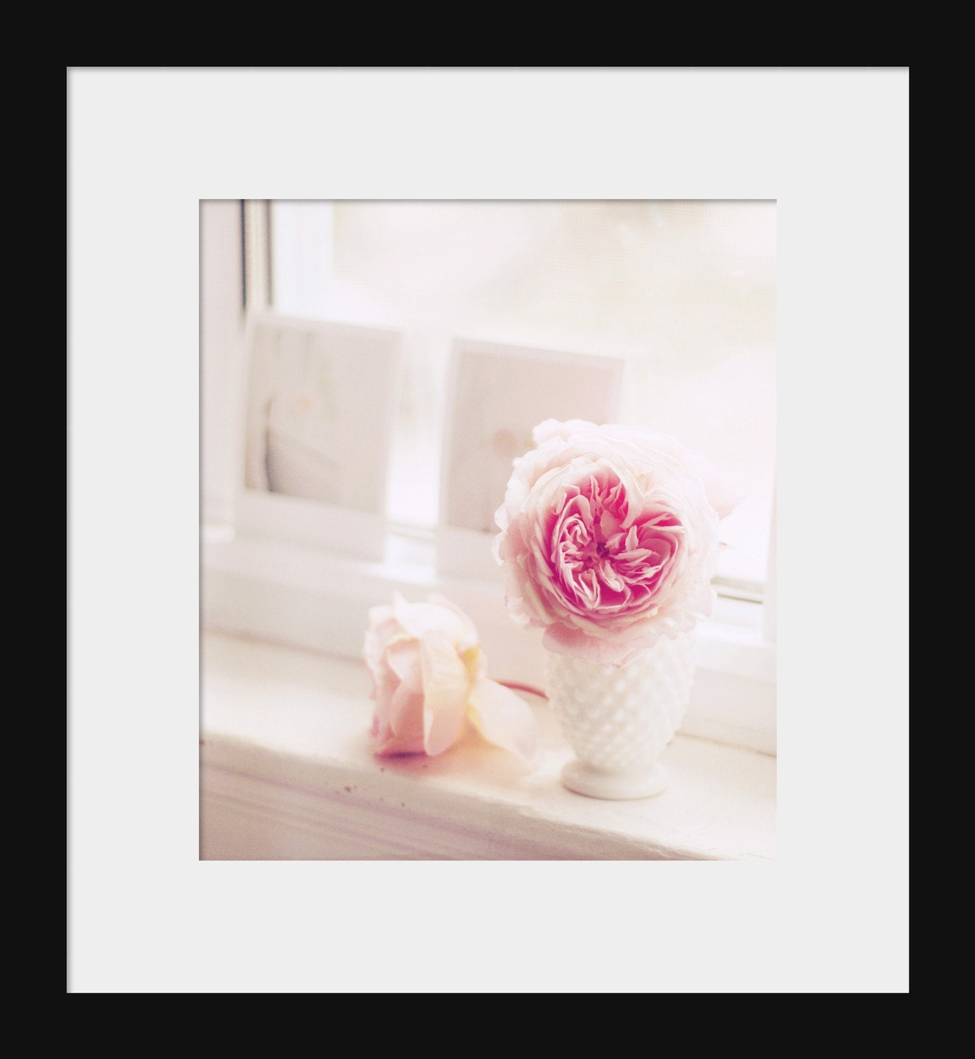 Je vois la vie en rose  (8x10 Fine Art Photograph) Beautiful English Roses With Polaroids In White Window