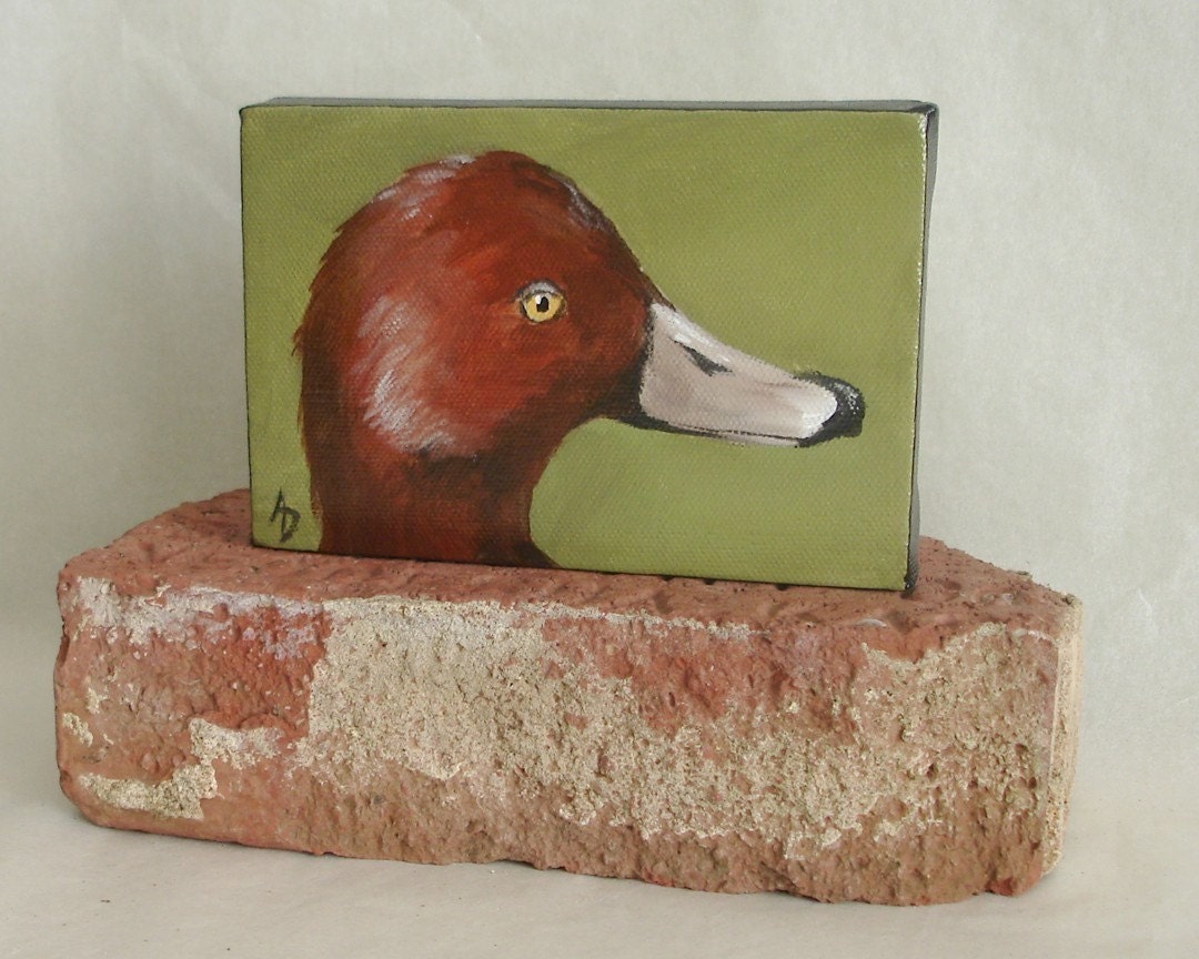 Redhead Duck 4x6 original canvas painting, bird art