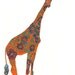 Giraffe- limited edition print from original 8.5 x 11