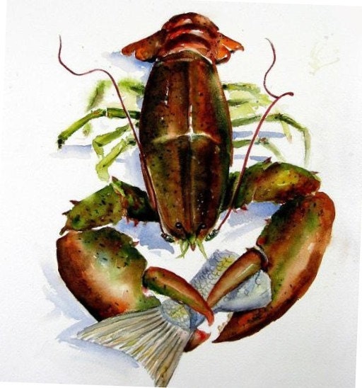 Happy Lobster 11X14 watercolor Art print by Barry Singer
