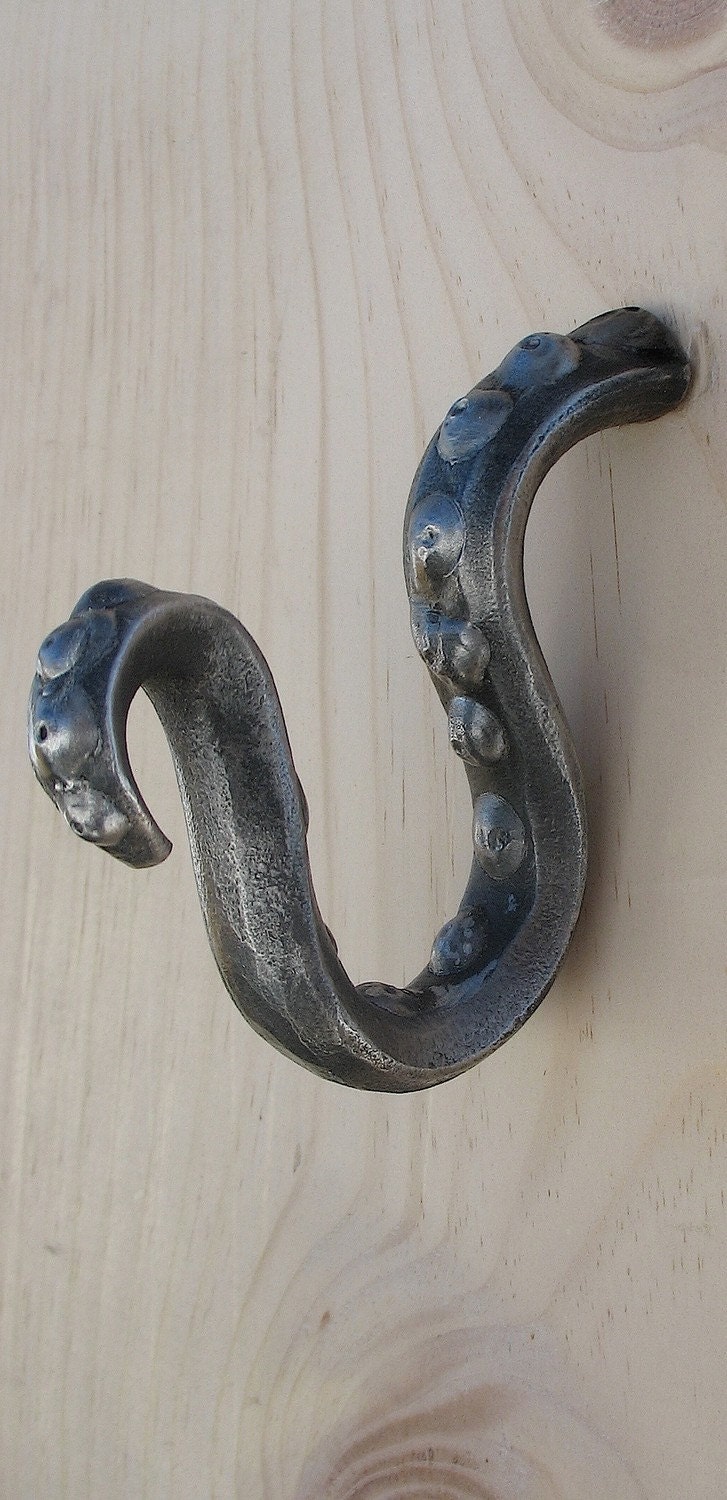 Octopus squid tendril tentacle hook