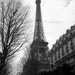 Parisian Architecture - Signed 11 x 14 Black and White Fine Art Photograph Print of Eiffel Tower, France by IlluminatedLuna on Etsy