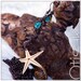 Brise Marine, Earrings