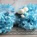 robins egg blue....ruffled seam binding