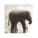 Elephant In The Mists Fine Art Photograph -Sepia Baby Animal Asian Calf Nature Wildlife Print Safari Vintage Style