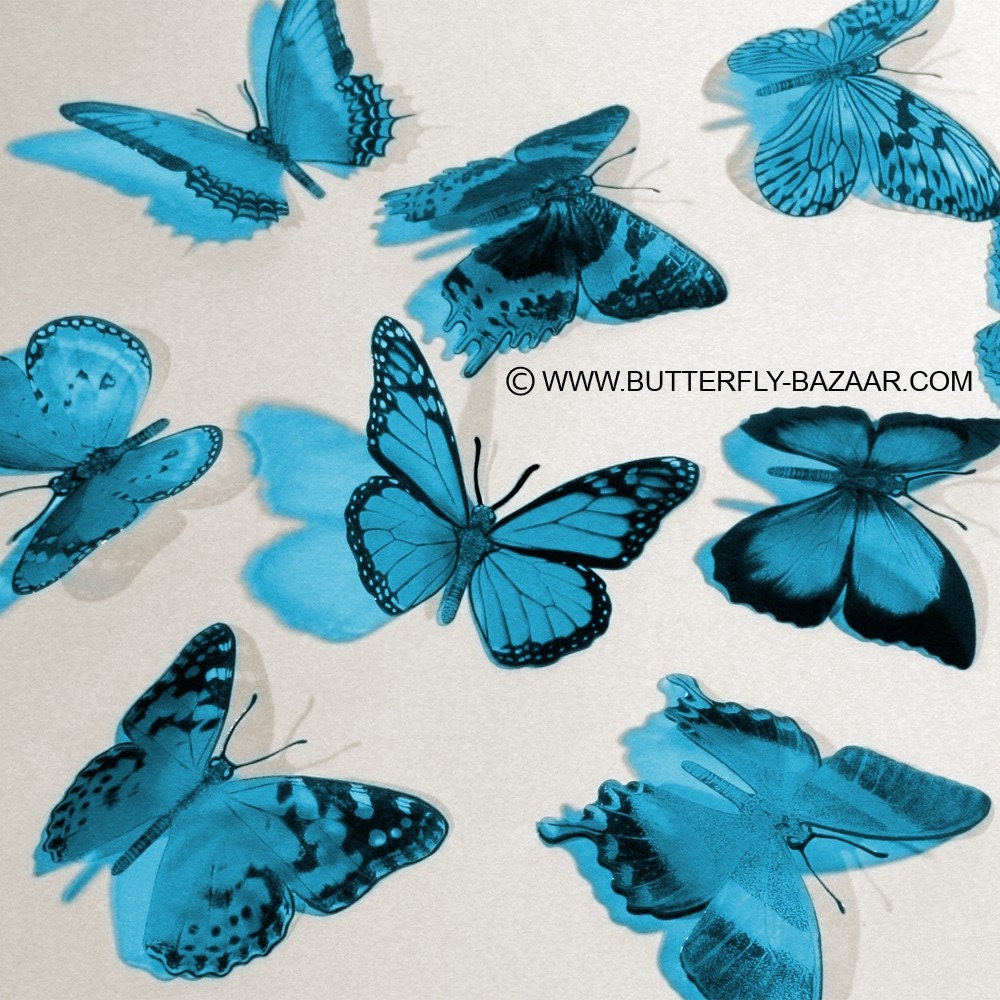 12x 3D BUTTERFLIES -- AQUA