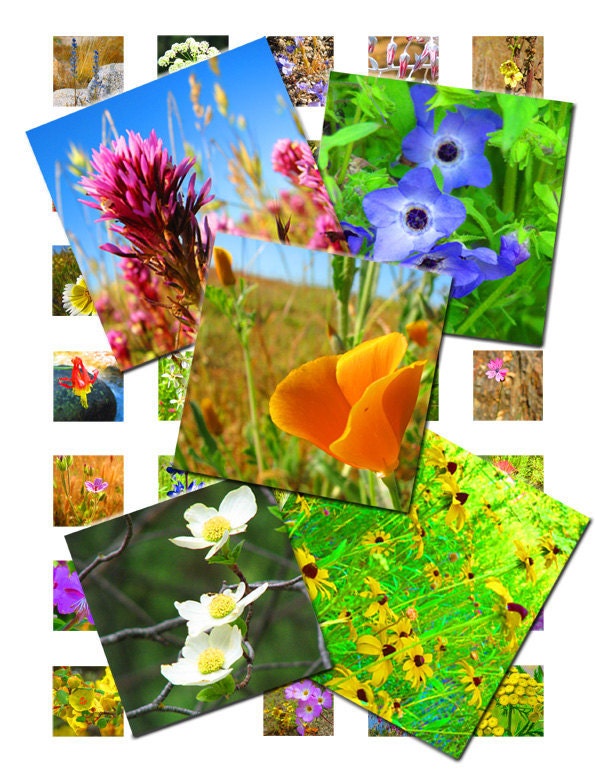 Wildflowers Scrabble Tile-size Digital Collage Download $2.99