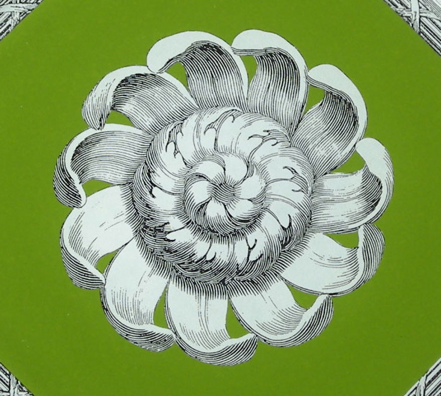 Green B/W Plate