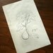 original fig botanical line drawing- 5x7
