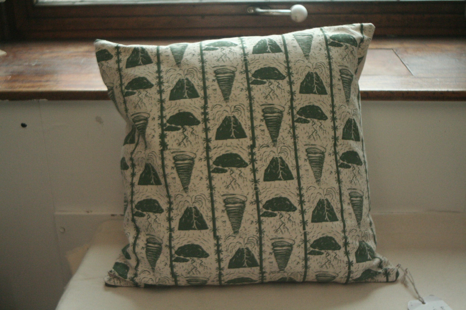 Small Natural Disaster cushion
