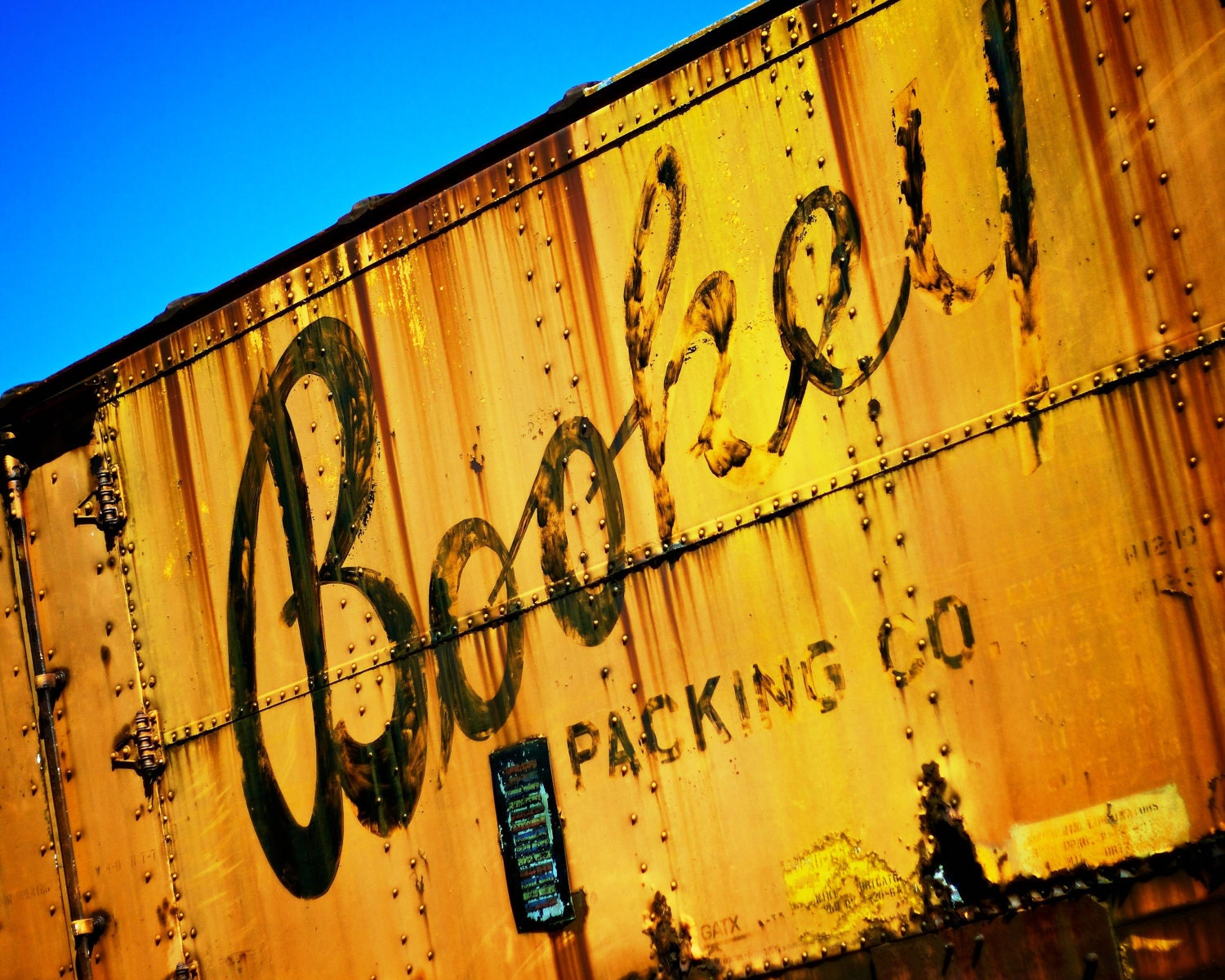 Bookey 8x10 Fine Art Print