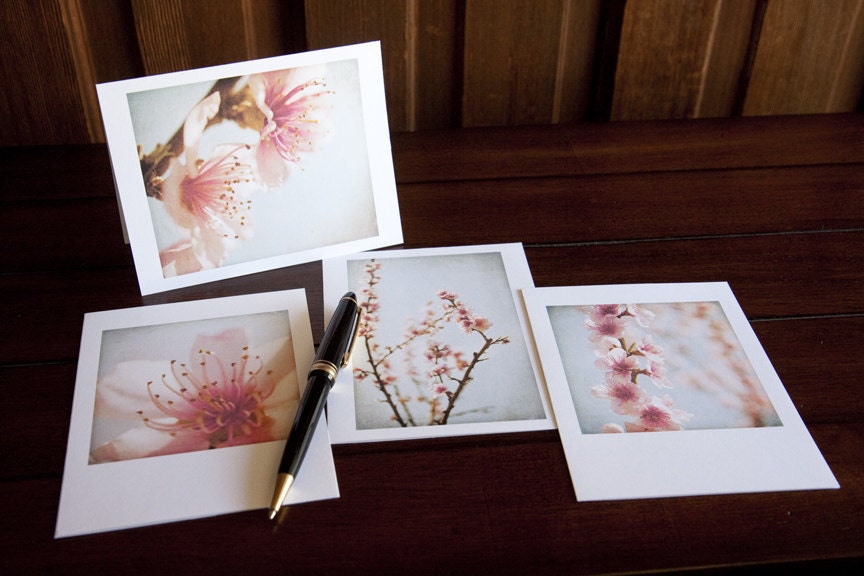 Spring Whispers, Box Set of 12 Blank Greeting Cards