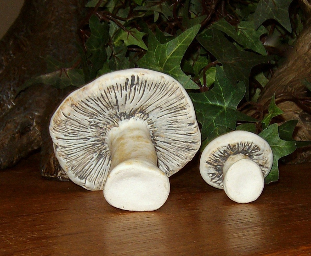 Cute set of 2 ceramic Button Mushrooms - handmade studio art pottery