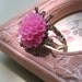 Magenta Mum Ring with Sunburst