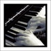 Playing Piano - 5x5 Metallic Photograph