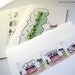 Mix and Match -  Sheeptails - Blank Cards (8)