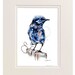 Blueberry Bird Print