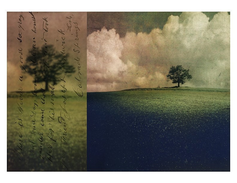 Marry The Trees, 8.5x11 inch Print