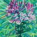 budanArt 5 x 7 Chunky Print - Cleome