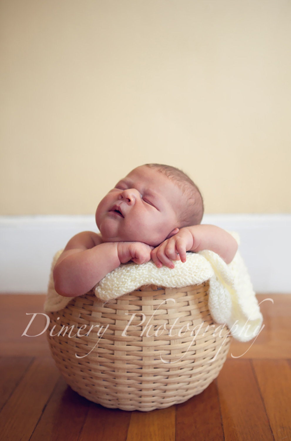 Newborn Photography Prop Basket - Large Bean Pot without Handle