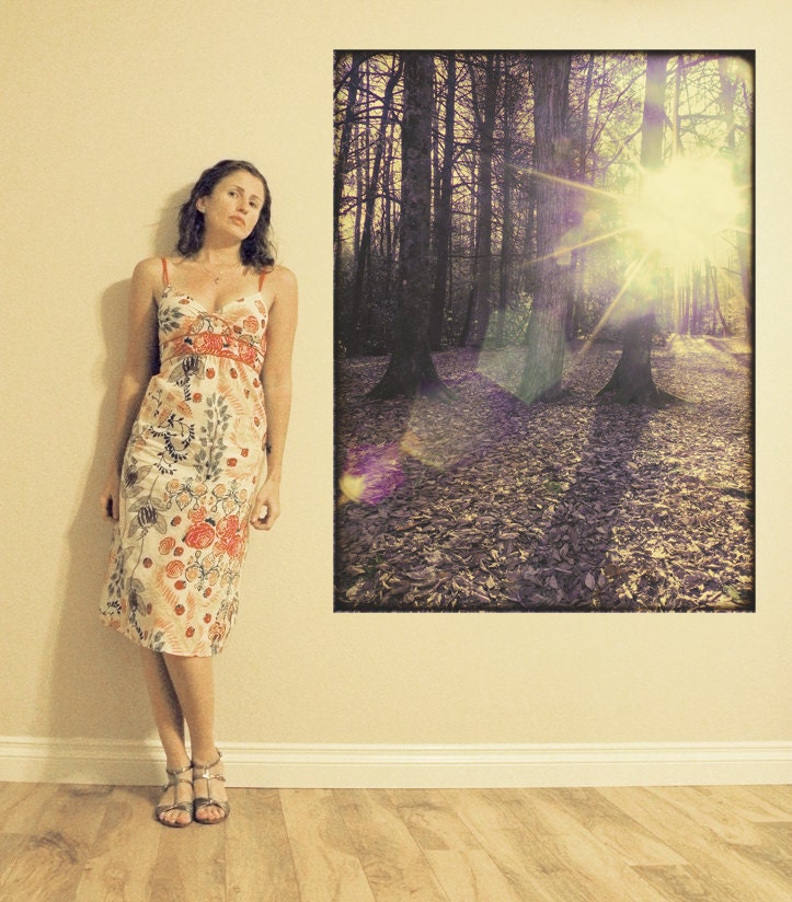 Wild Light - Fine Art Photograph - 3 foot wall print