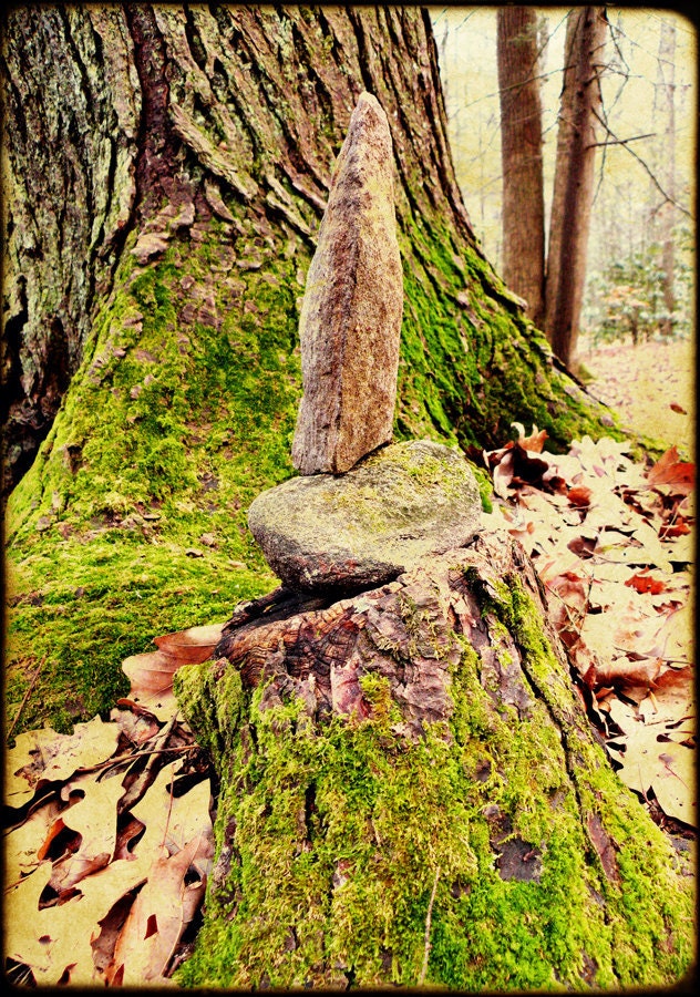 Vintage Moss - Fine Art Photograph - 5 foot wall print