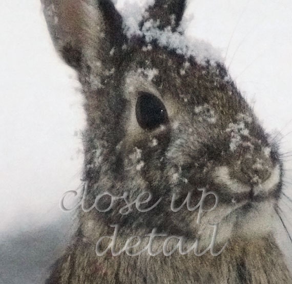 Snow Bunny - Snowflakes on Rabbit Square Photo Print
