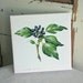 Ivy Canvas Print
