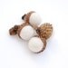 Felted Acorns, winter white nature woodland decor frost ecofriendly