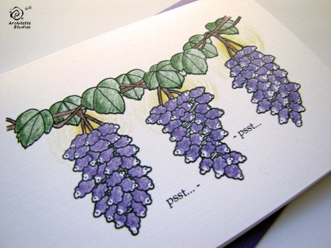 Herd it through the Grapevine - Sheeptails - Blank Cards (8)
